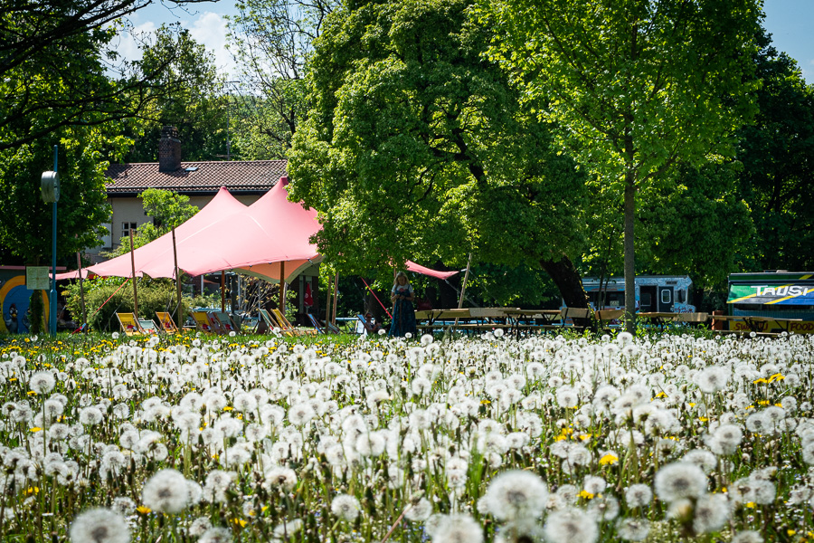 Die Zwischennutzung Fluffy Clouds macht das Sommerbad Georgenschwaige in diesem Sommer zum schönsten Spiel-, Sport- und Erholungsort in München.