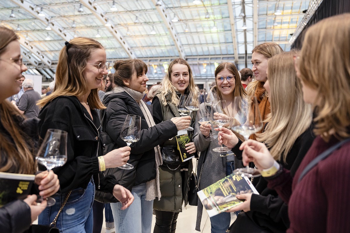 Beim Wine Walk das Weinviertel entdecken