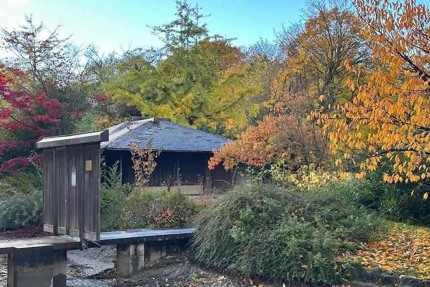 Teehaus Muenchen_c_Monika Schreiner_2637