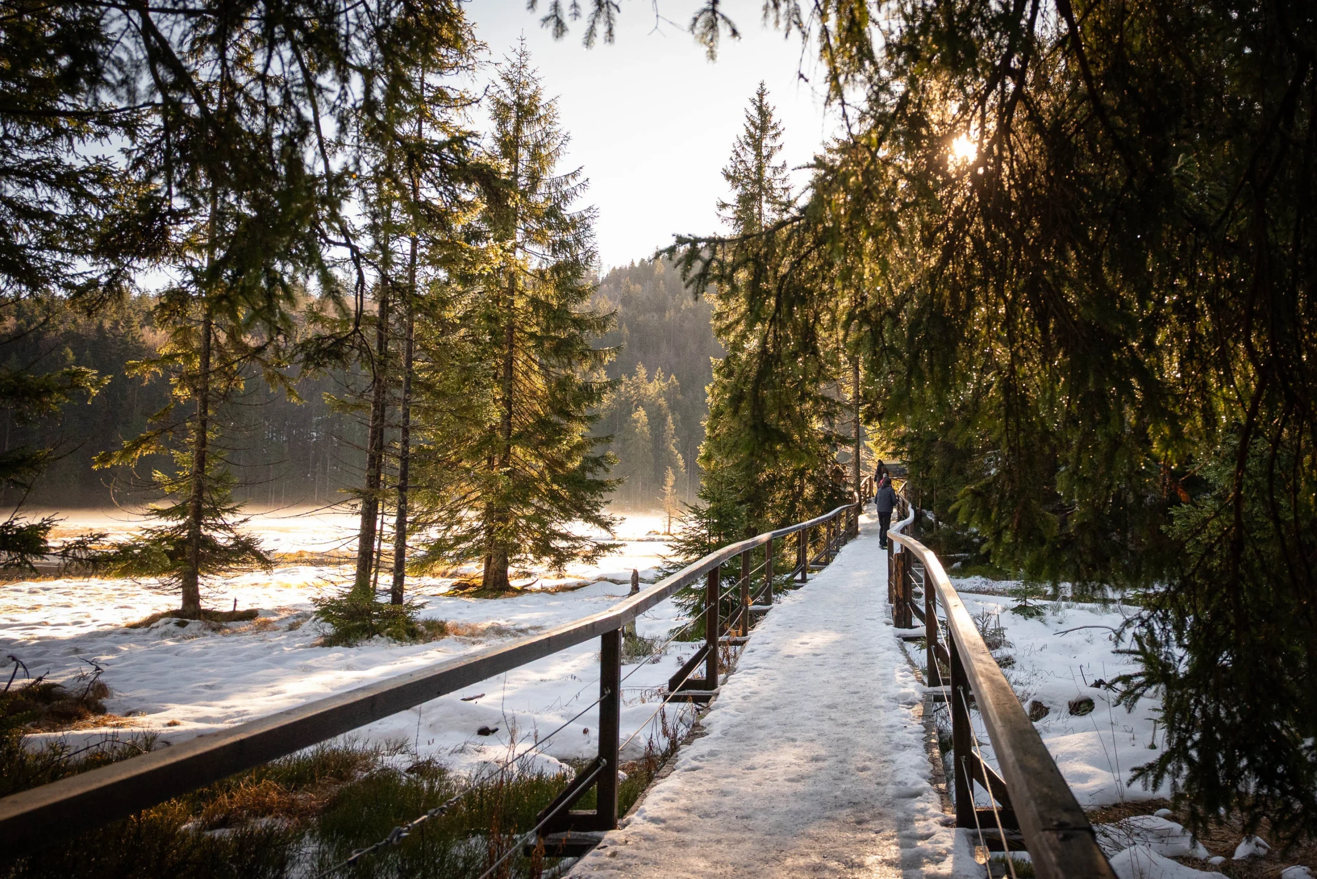 Bodenmais_Winter_DSC1659_2025
